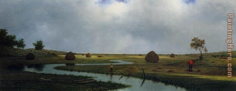 Marshfield Meadows